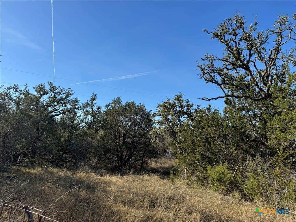 10.01 acres in Hays County featured view