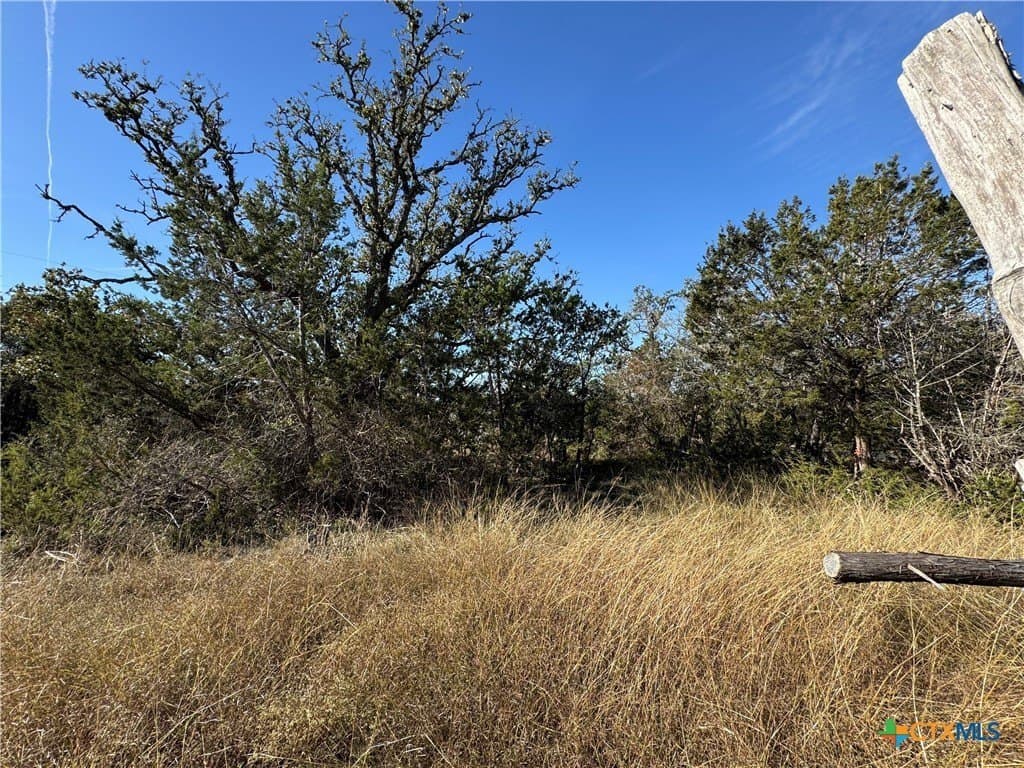 10.01 acres in Hays County gallery image 3
