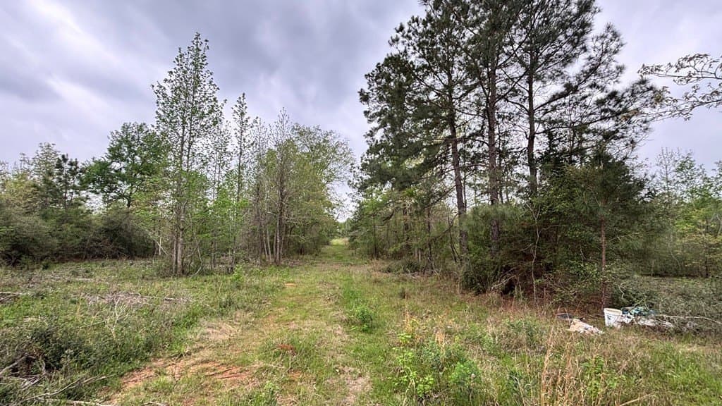 10.23 acres in Texas County featured view
