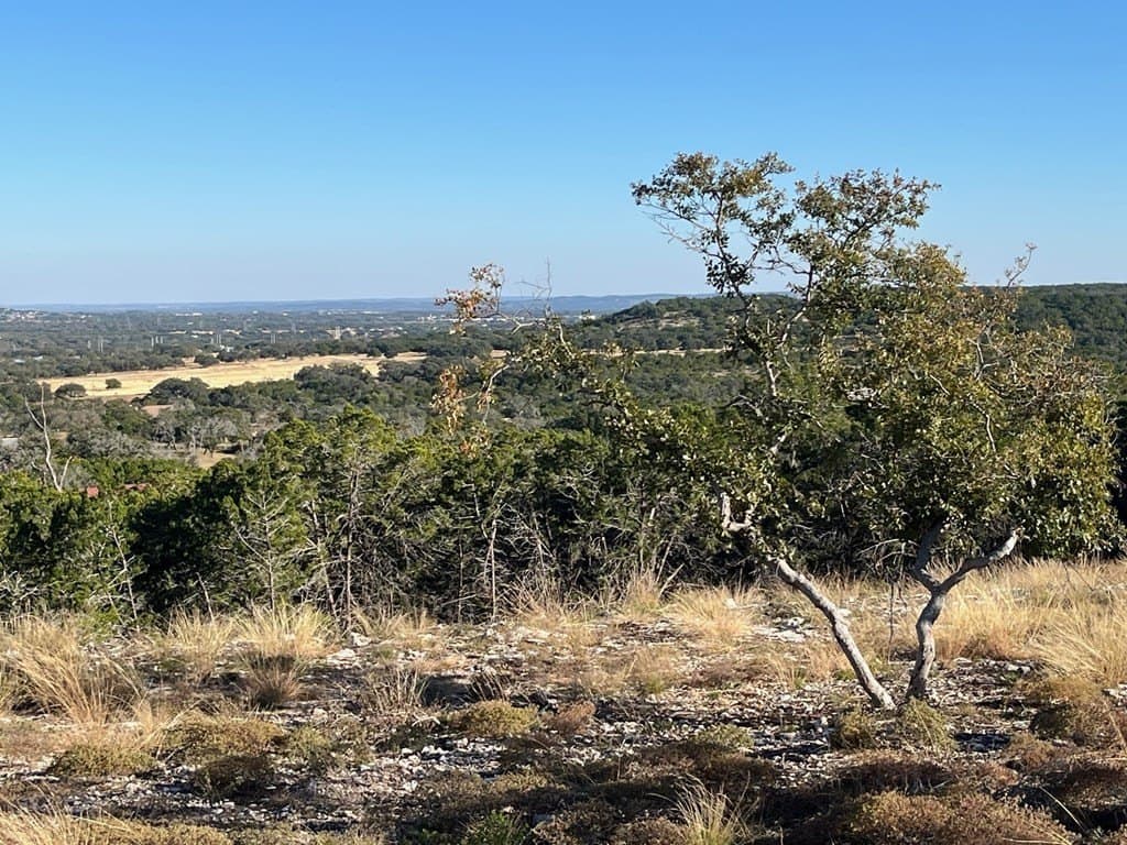 10.02 acres in Gillespie County featured view