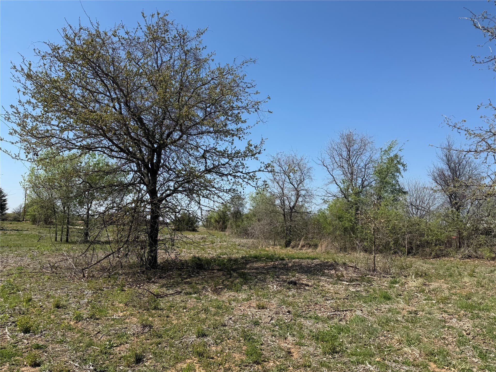 2.03 acres in Wise County - photo 13