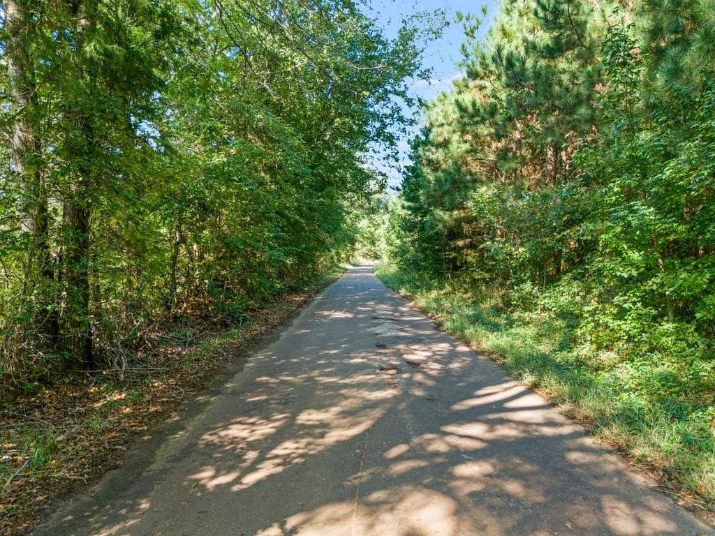 12.53 acres in Upshur County gallery image 2