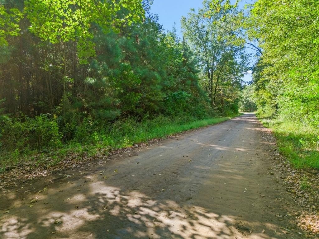 12.53 acres in Upshur County gallery image 3