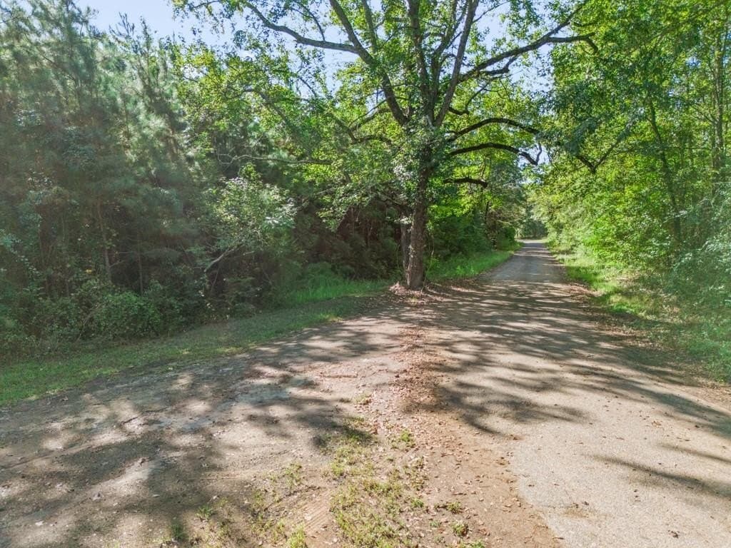 12.53 acres in Upshur County gallery image 4