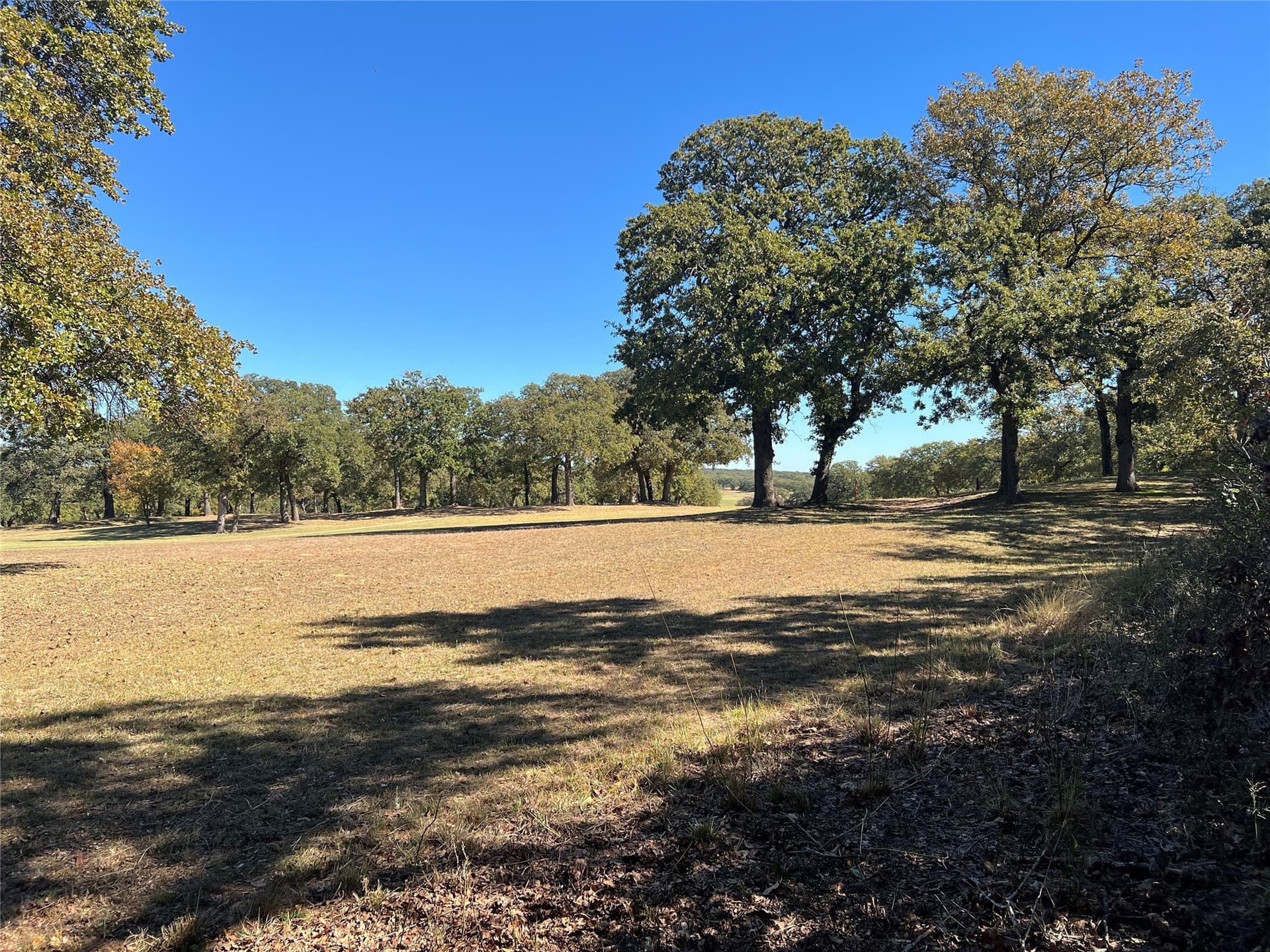 0.5 acres in Montague County - photo 9