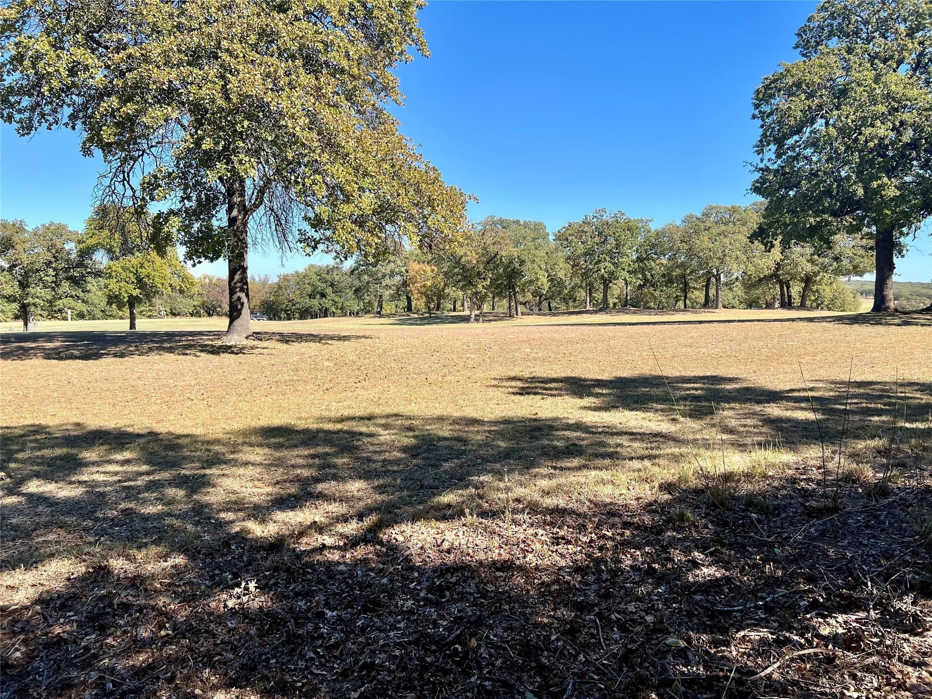 0.5 acres in Montague County - photo 11