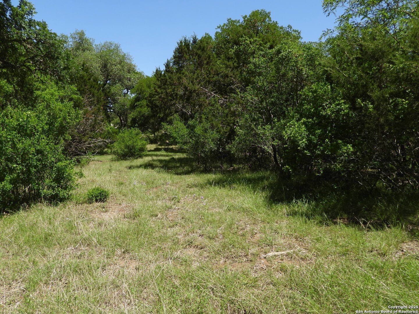 3.98 acres in Bandera County - photo 10