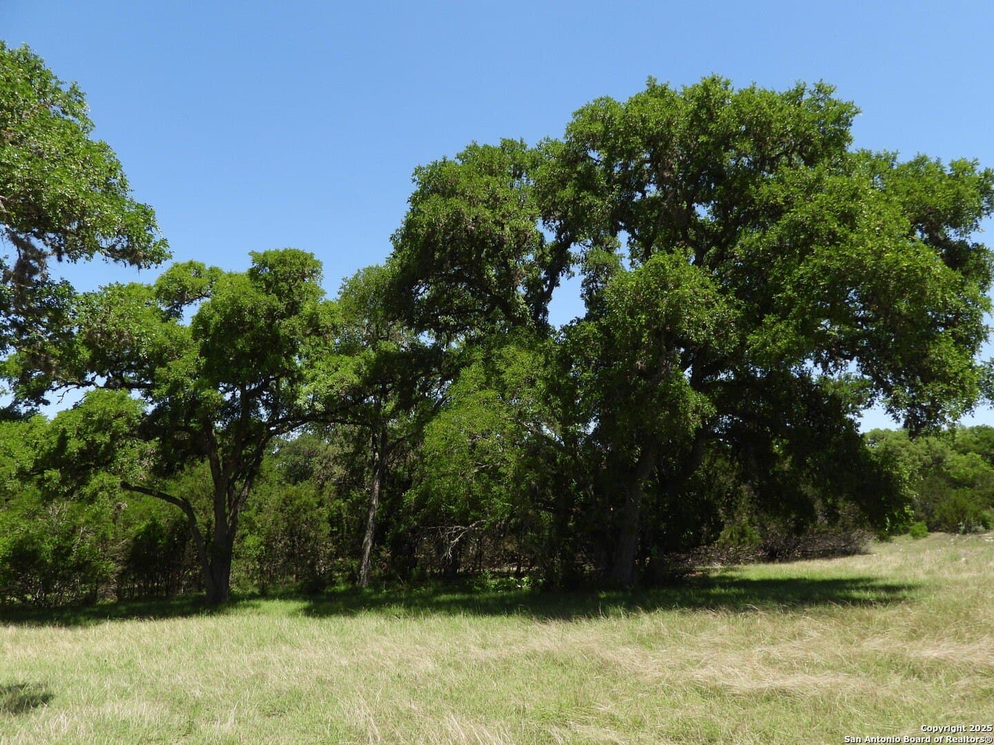 3.98 acres in Bandera County - photo 7
