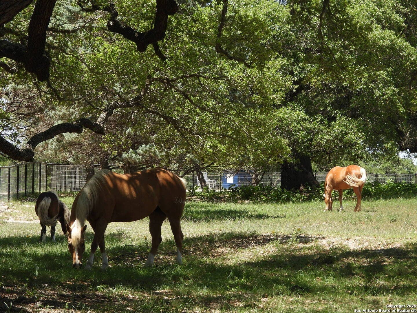 3.98 acres in Bandera County - photo 51