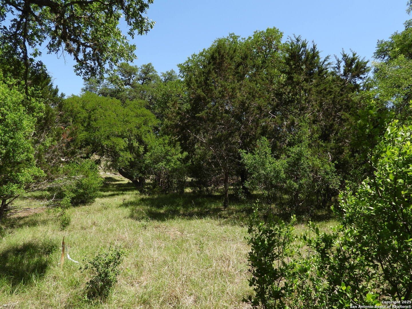 3.98 acres in Bandera County - photo 11