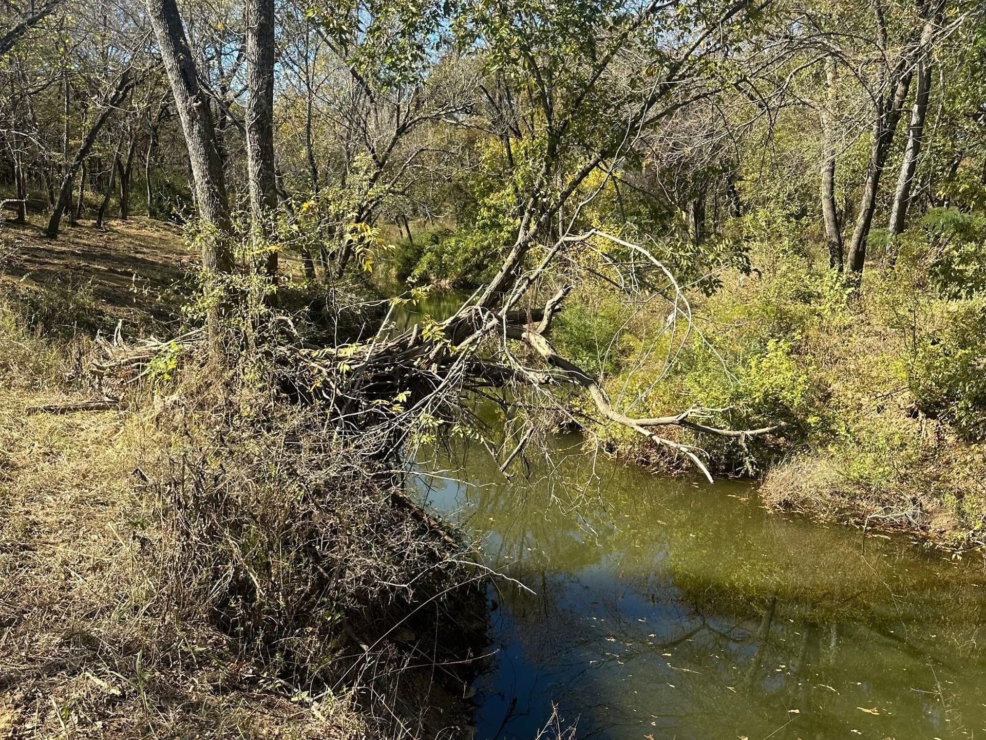 7.98 acres in Tarrant County - photo 4