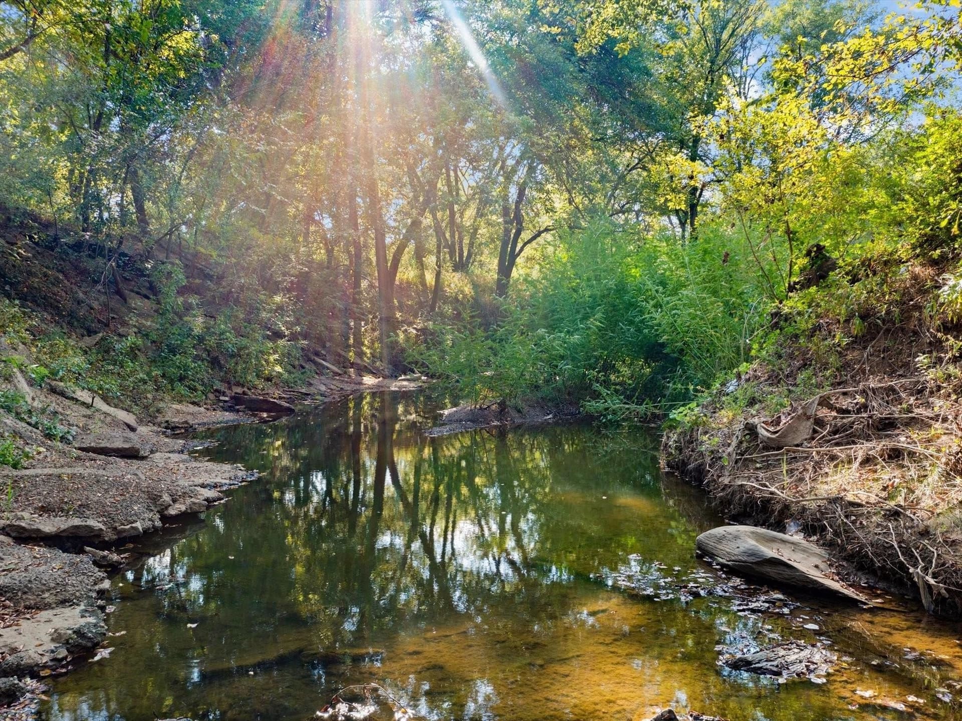 7.98 acres in Tarrant County - photo 16