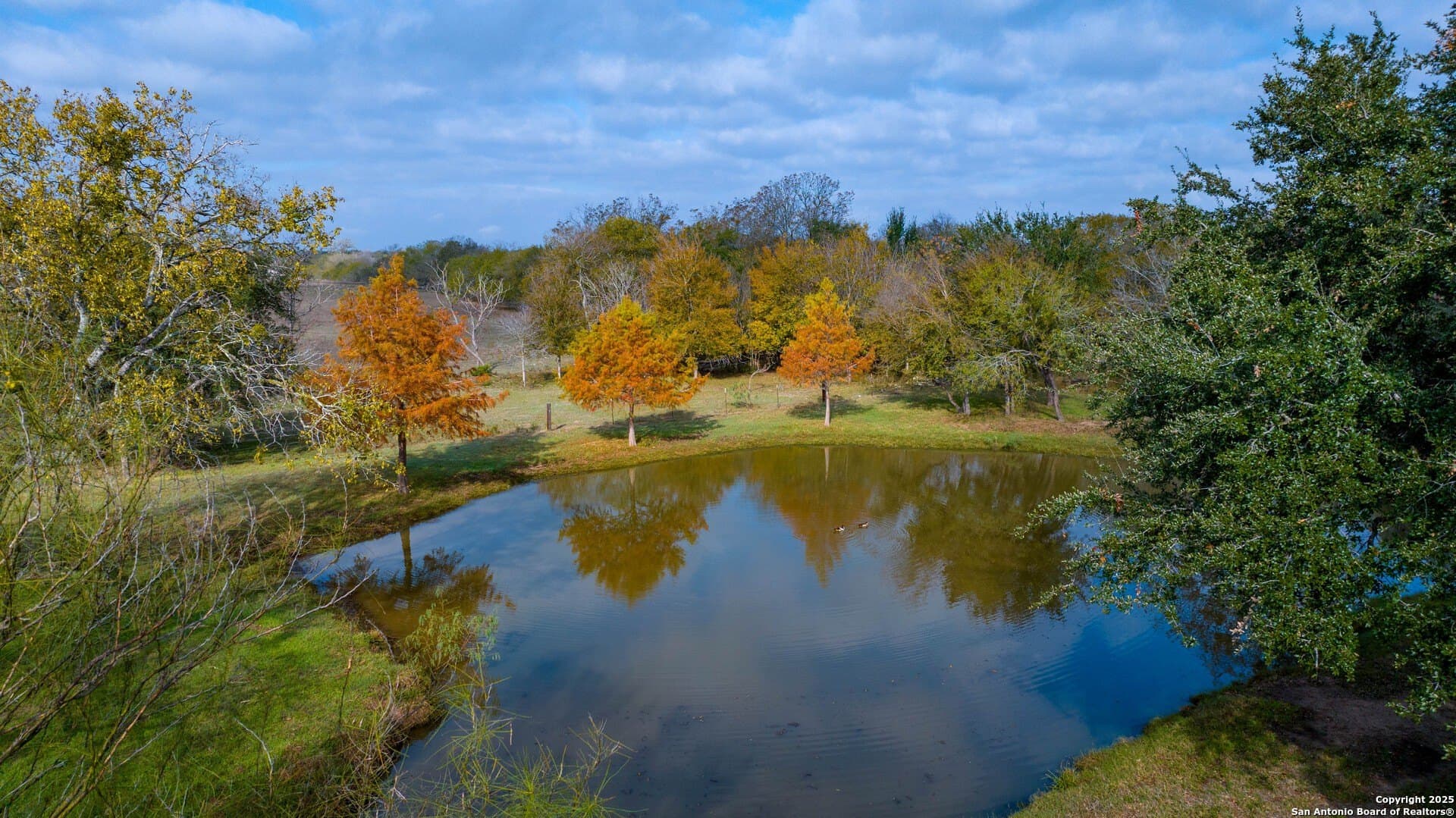13.95 acres in Bexar County gallery image 3