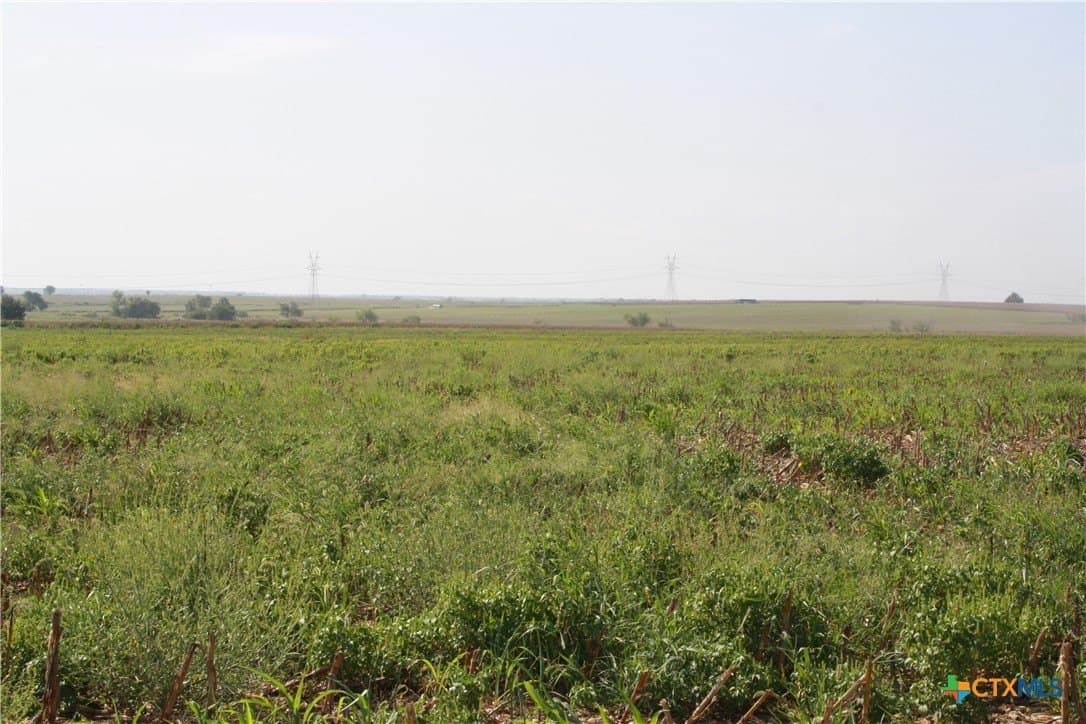 11 acres in Bell County - photo 6