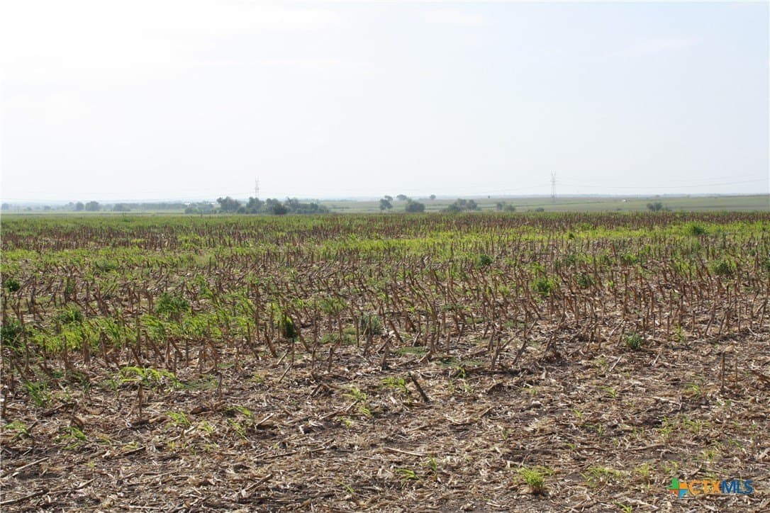 11 acres in Bell County gallery image 4