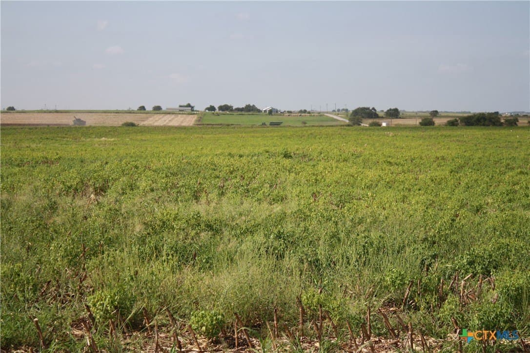 11 acres in Bell County - photo 8