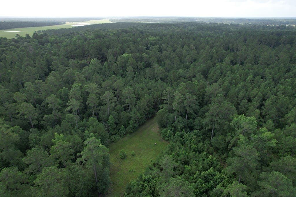64.33 acres in Texas County featured view