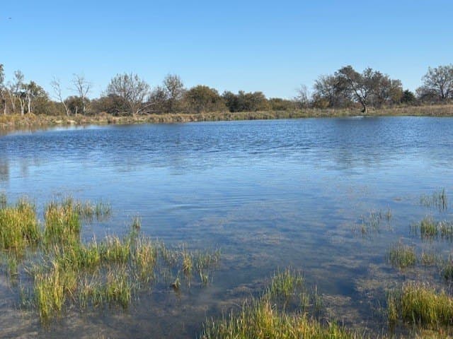 124.75 acres in Denton County - photo 6