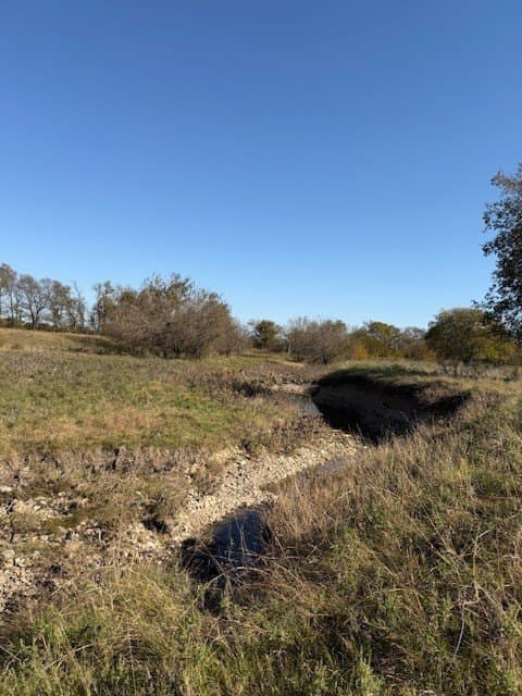 124.75 acres in Denton County - photo 11
