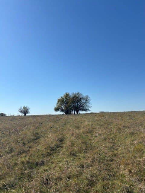 124.75 acres in Denton County - photo 7