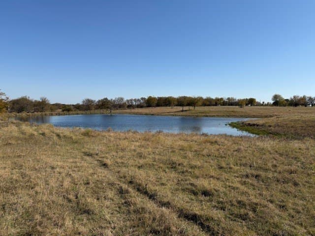 124.75 acres in Denton County gallery image 3