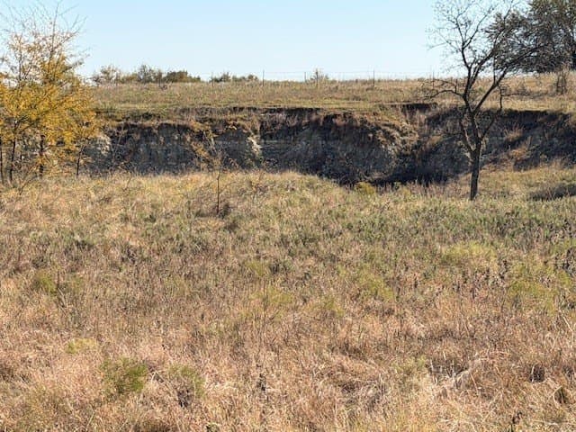 124.75 acres in Denton County - photo 9