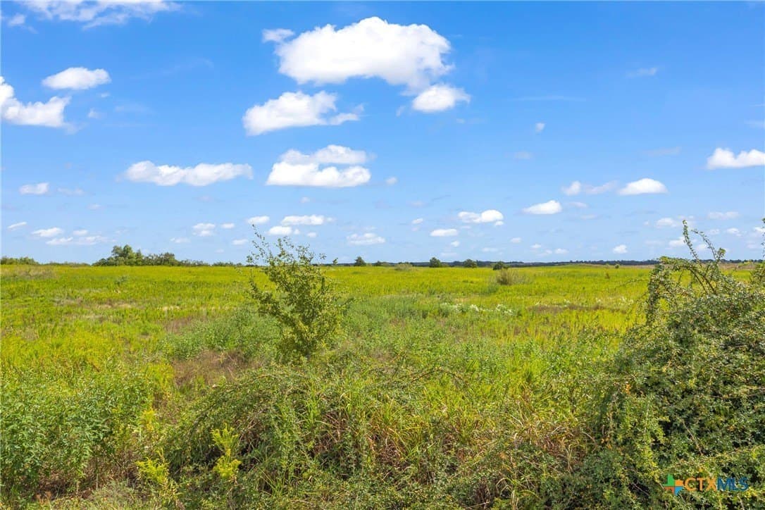 150.17 acres in Williamson County gallery image 4