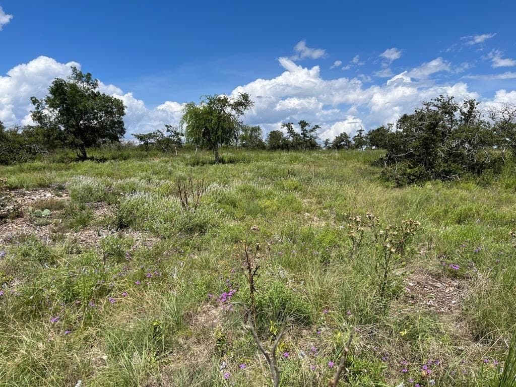 10.1 acres in Gillespie County featured view