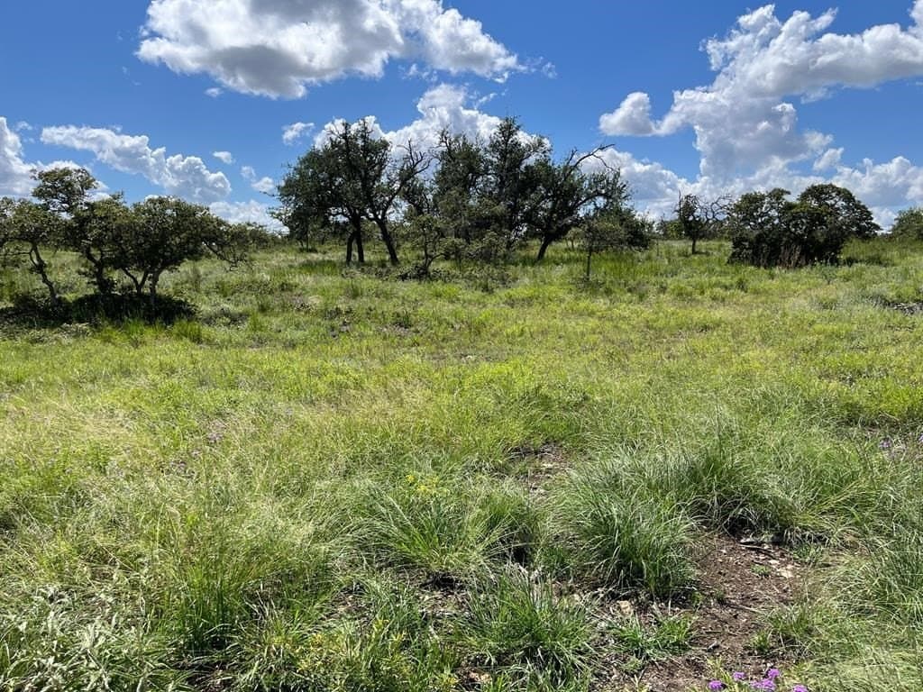 10.1 acres in Gillespie County gallery image 4