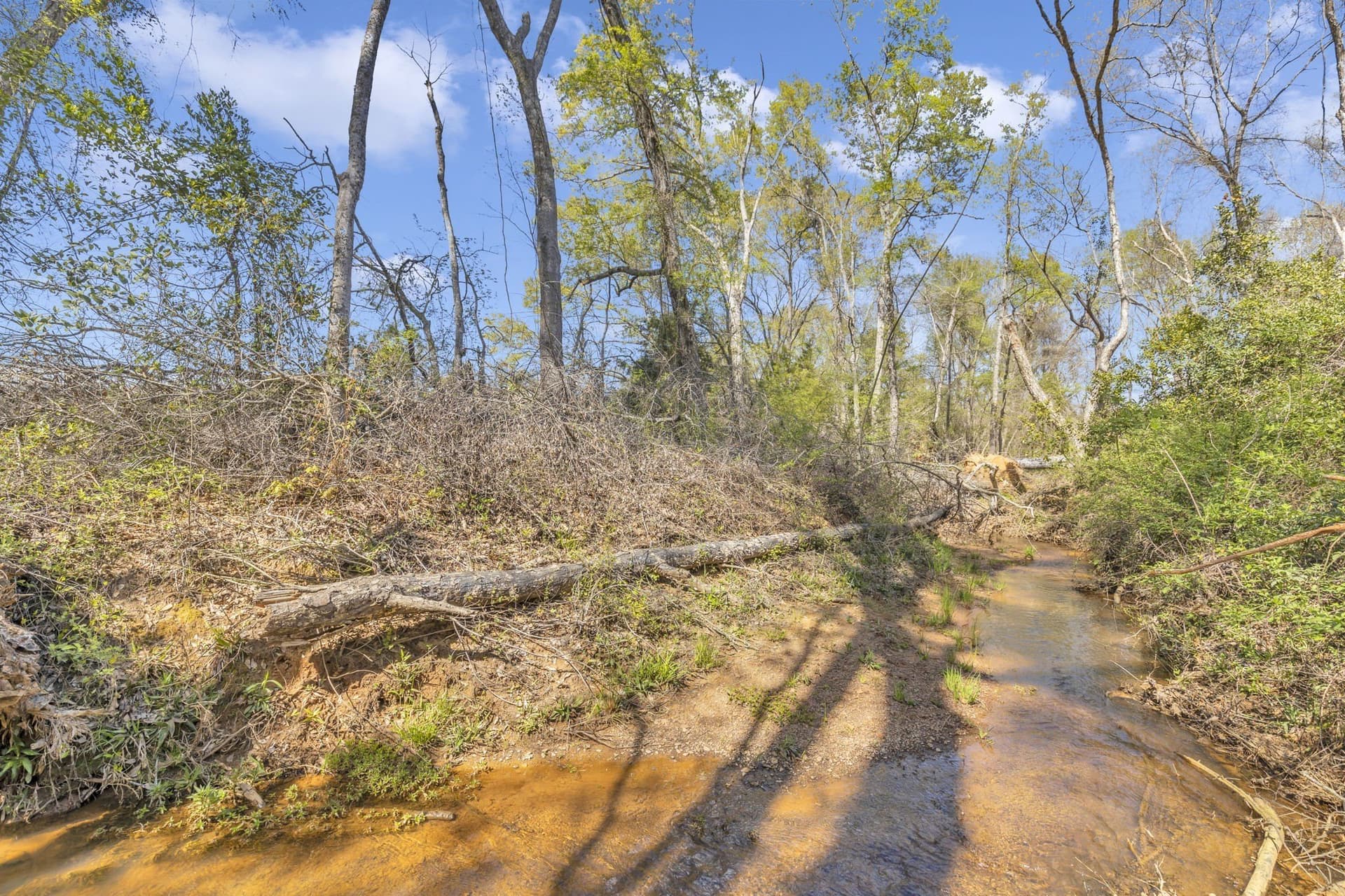 45.48 acres in Smith County - photo 25