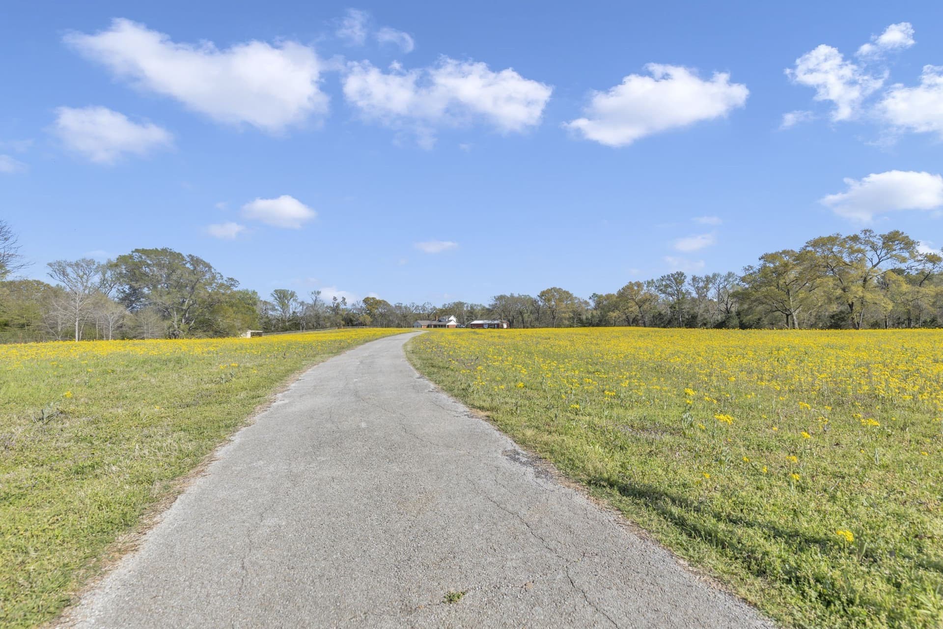 45.48 acres in Smith County - photo 8
