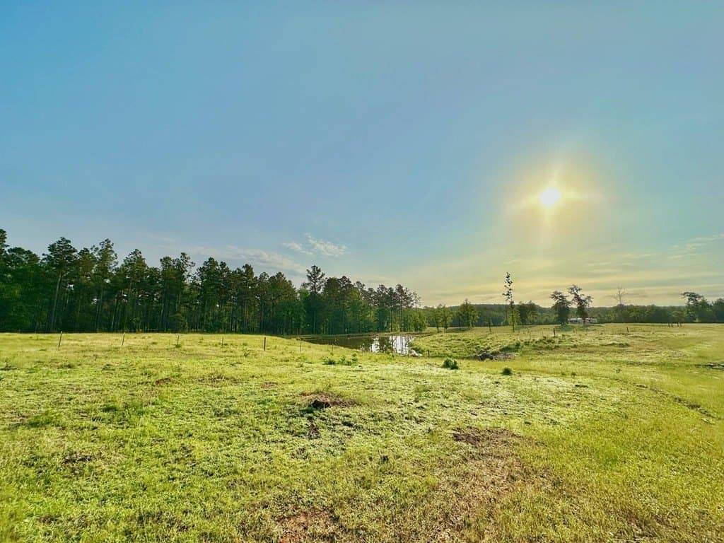 38 acres in Texas County - photo 8
