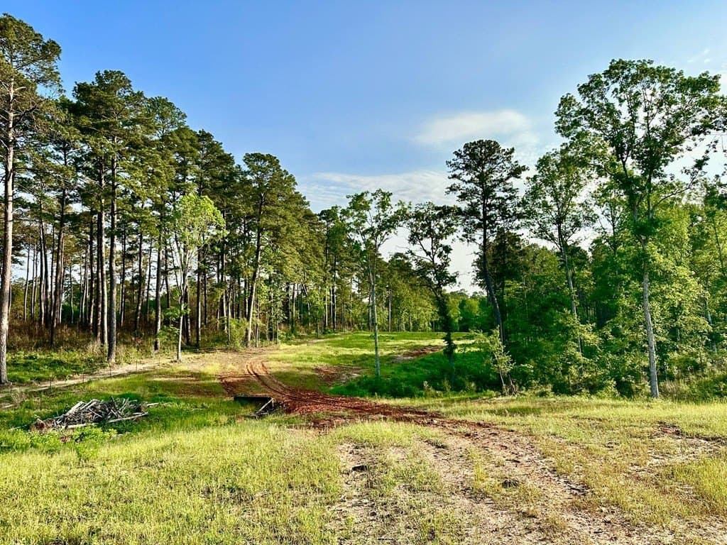 38 acres in Texas County - photo 9