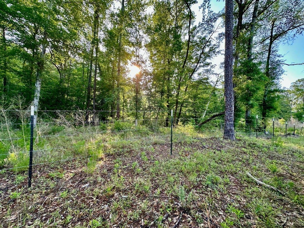 38 acres in Texas County - photo 7