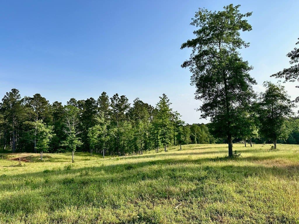 38 acres in Texas County - photo 6