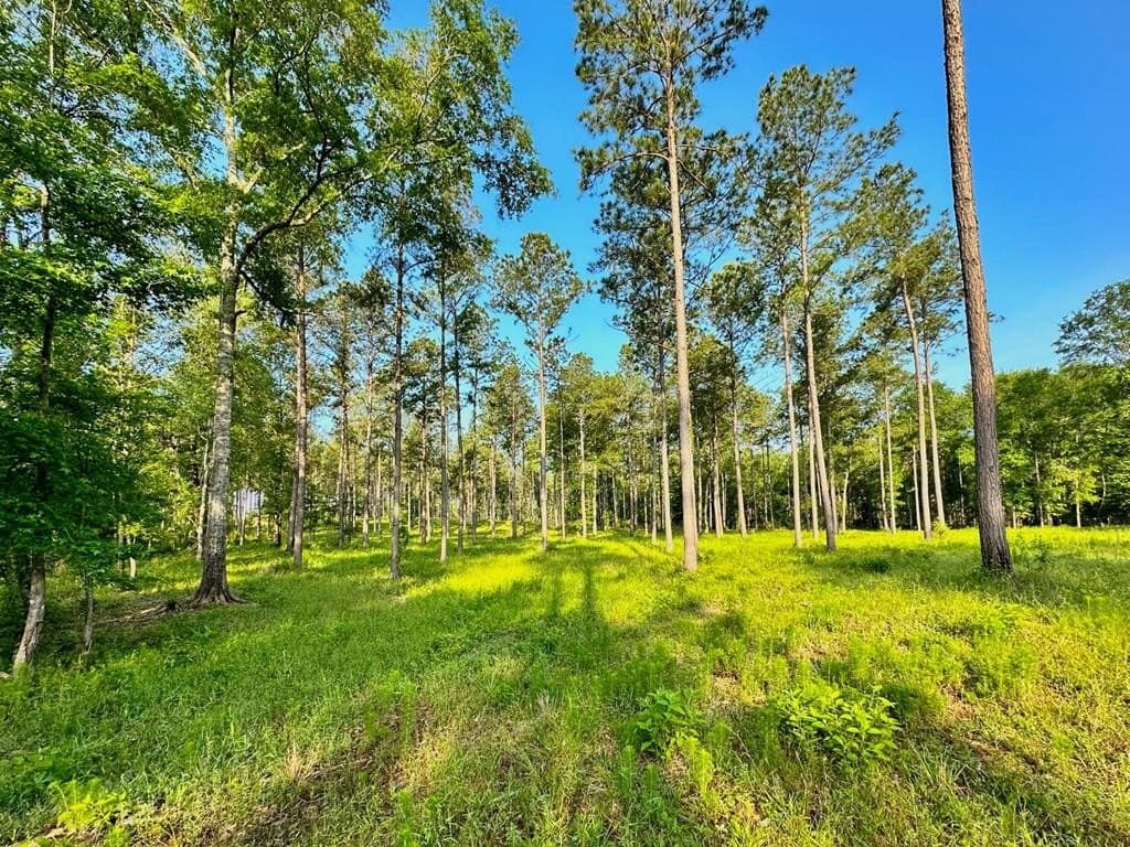 38 acres in Texas County