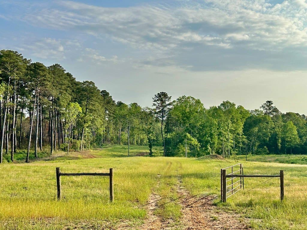 38 acres in Texas County - photo 10