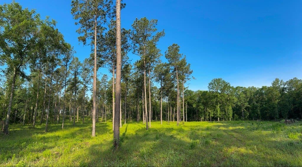 38 acres in Texas County - photo 2