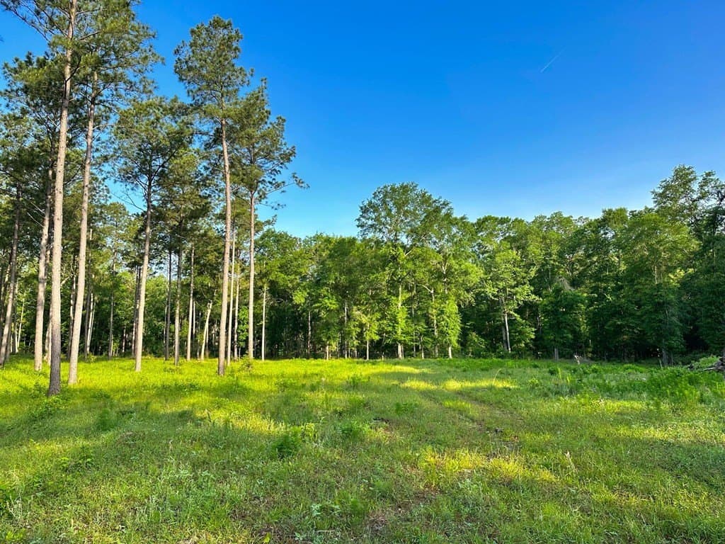 38 acres in Texas County - photo 4