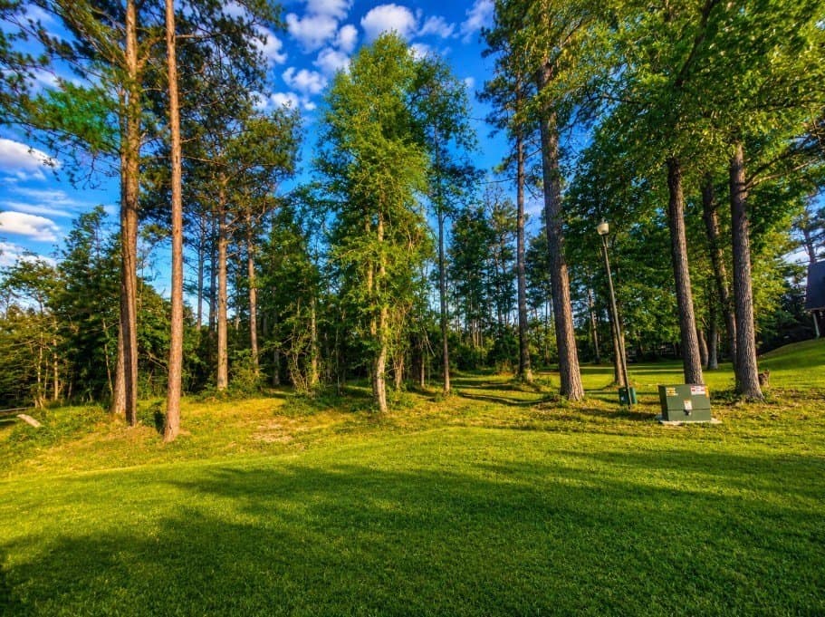 0.61 acres in Texas County featured view