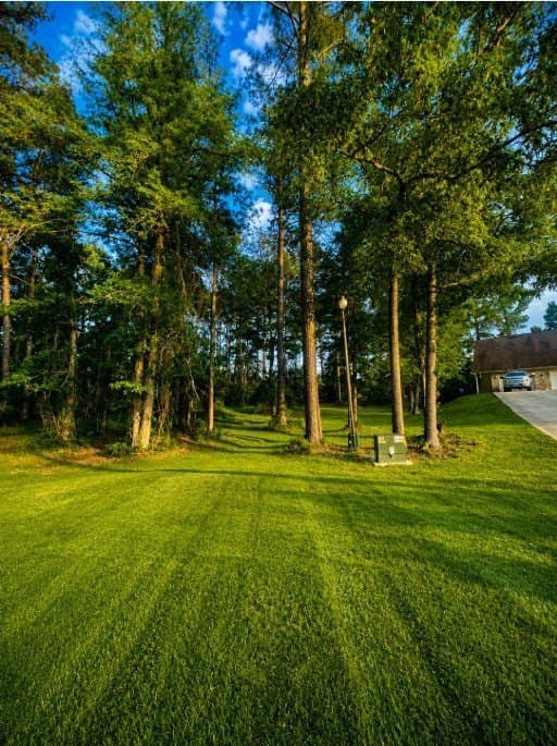0.61 acres in Texas County gallery image 2