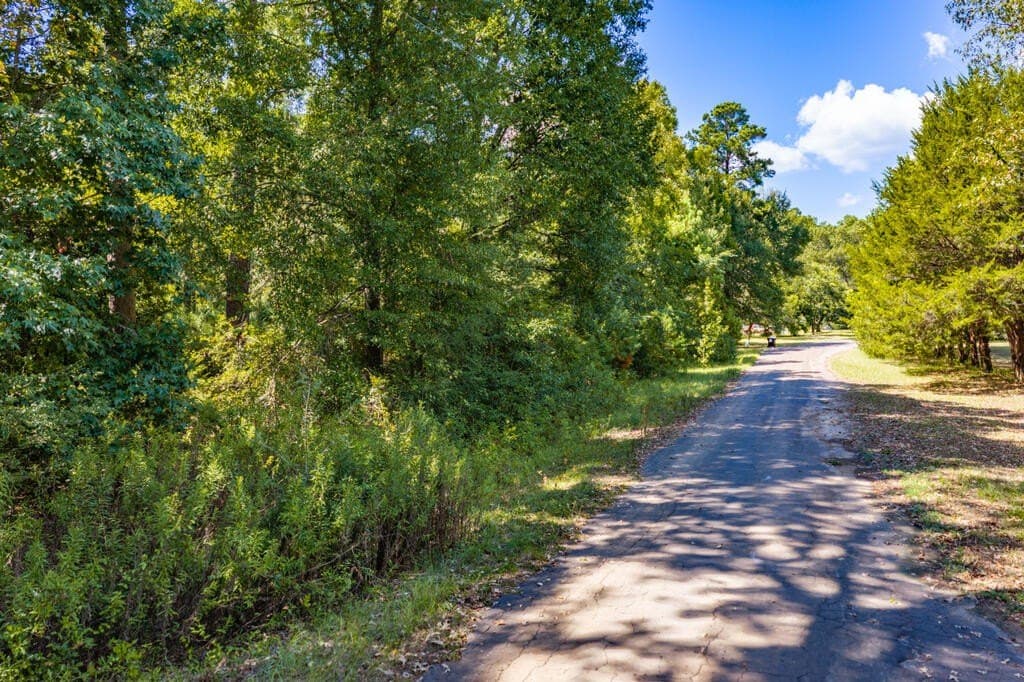 3.92 acres in Texas County - photo 9