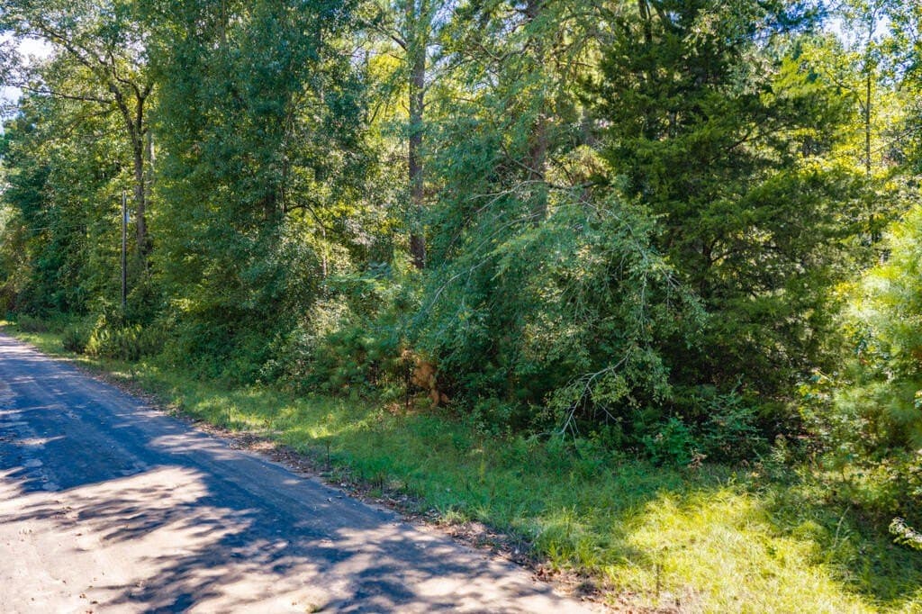 3.92 acres in Texas County - photo 8
