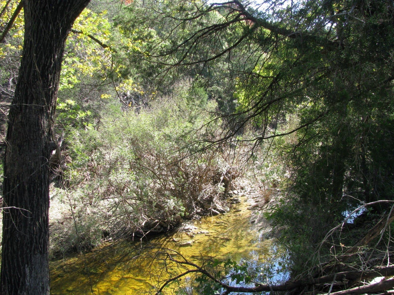 10.18 acres in Coryell County - photo 27