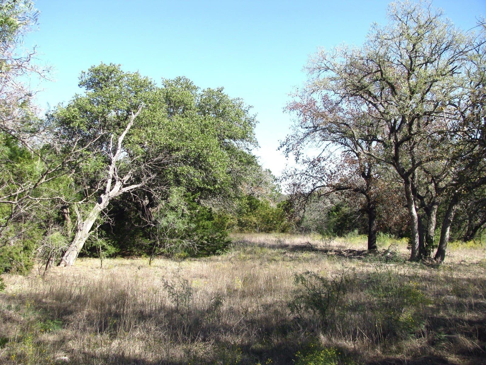 10.18 acres in Coryell County - photo 13