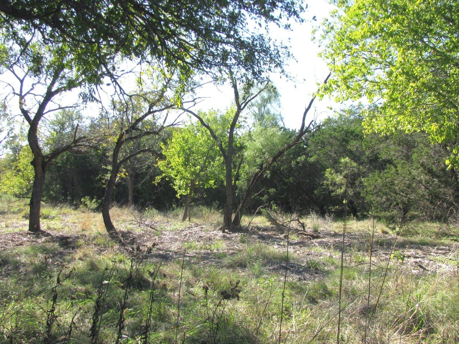 10.18 acres in Coryell County - photo 29