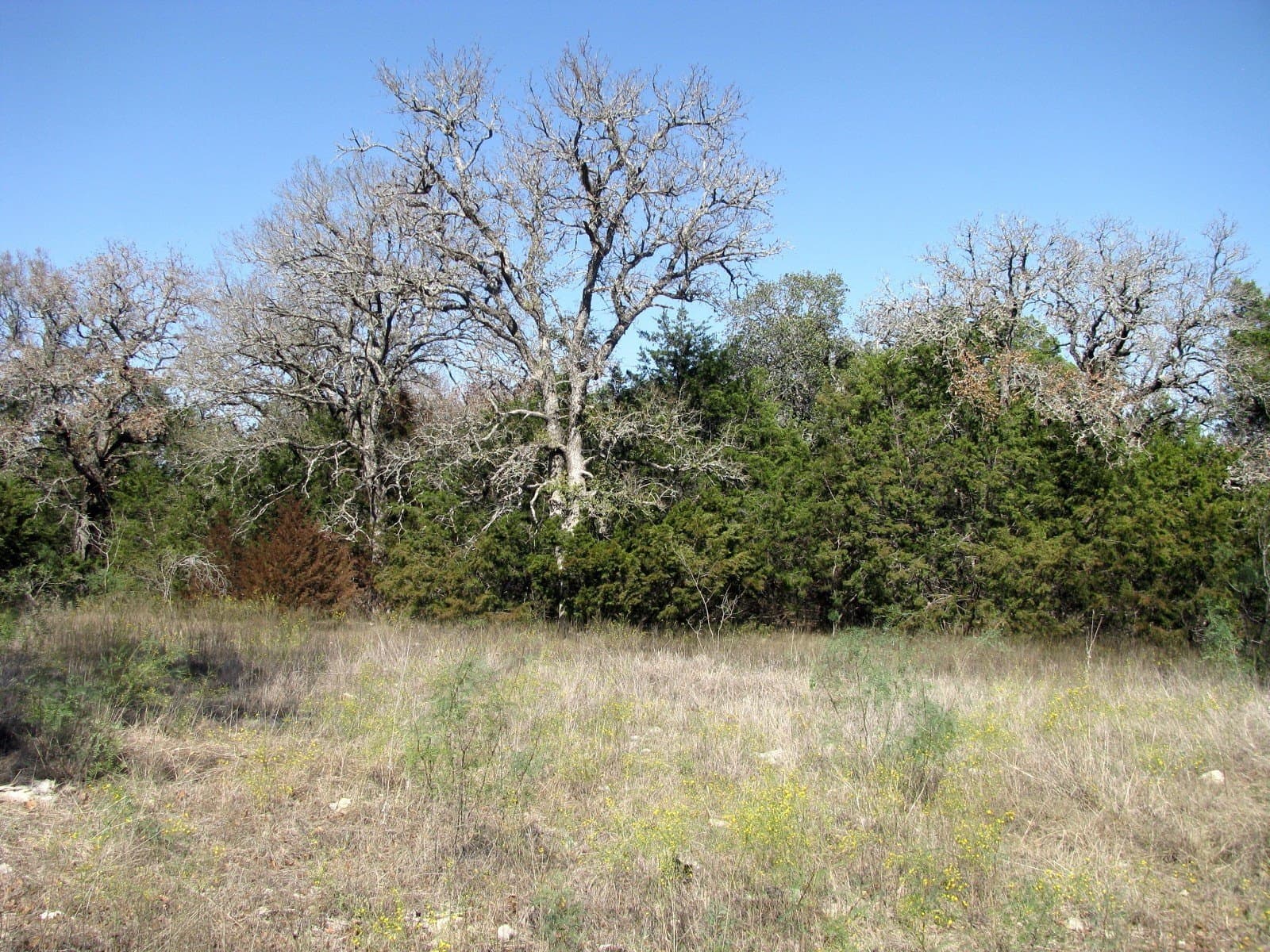 10.18 acres in Coryell County - photo 14