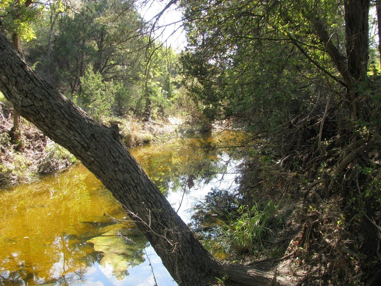 10.18 acres in Coryell County - photo 34