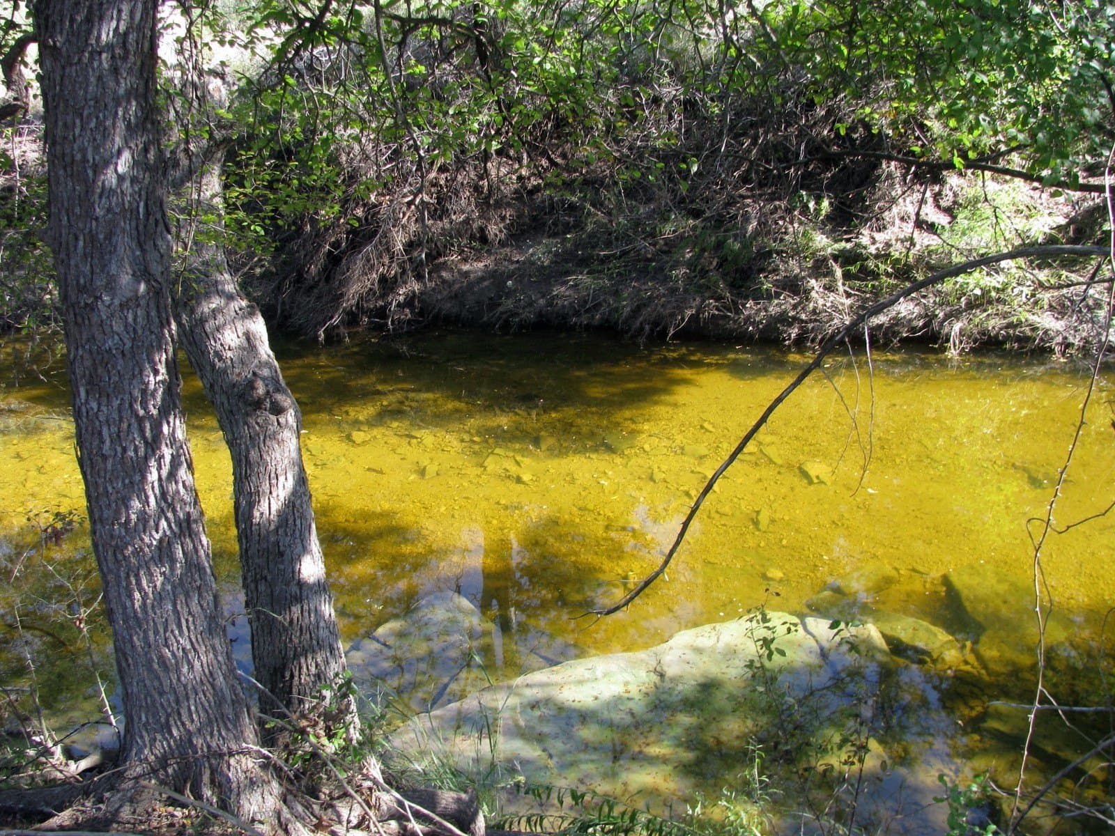 10.18 acres in Coryell County - photo 17