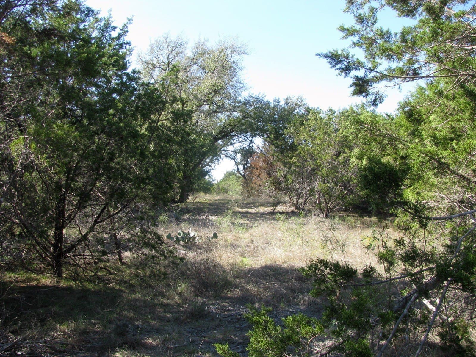 10.18 acres in Coryell County - photo 7